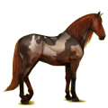 Pegaso de montar Pura raza española Bayo cereza