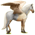 Pegaso de montar Bayo tostado