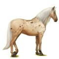 Caballo de montar Pura raza española Gris claro