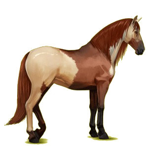 Caballo de montar Pura raza española Bayo tostado
