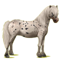 Poni Losino Negro