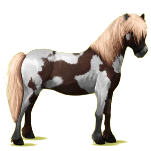 Poni Chilote Isabelo