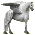 Pegaso de montar Frisón Negro