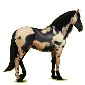 Caballo de montar Pura raza española Negro