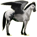 Pegaso de montar Pinto Pío negro tobiano