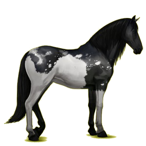 Pegaso de montar Pura raza española Bayo tostado