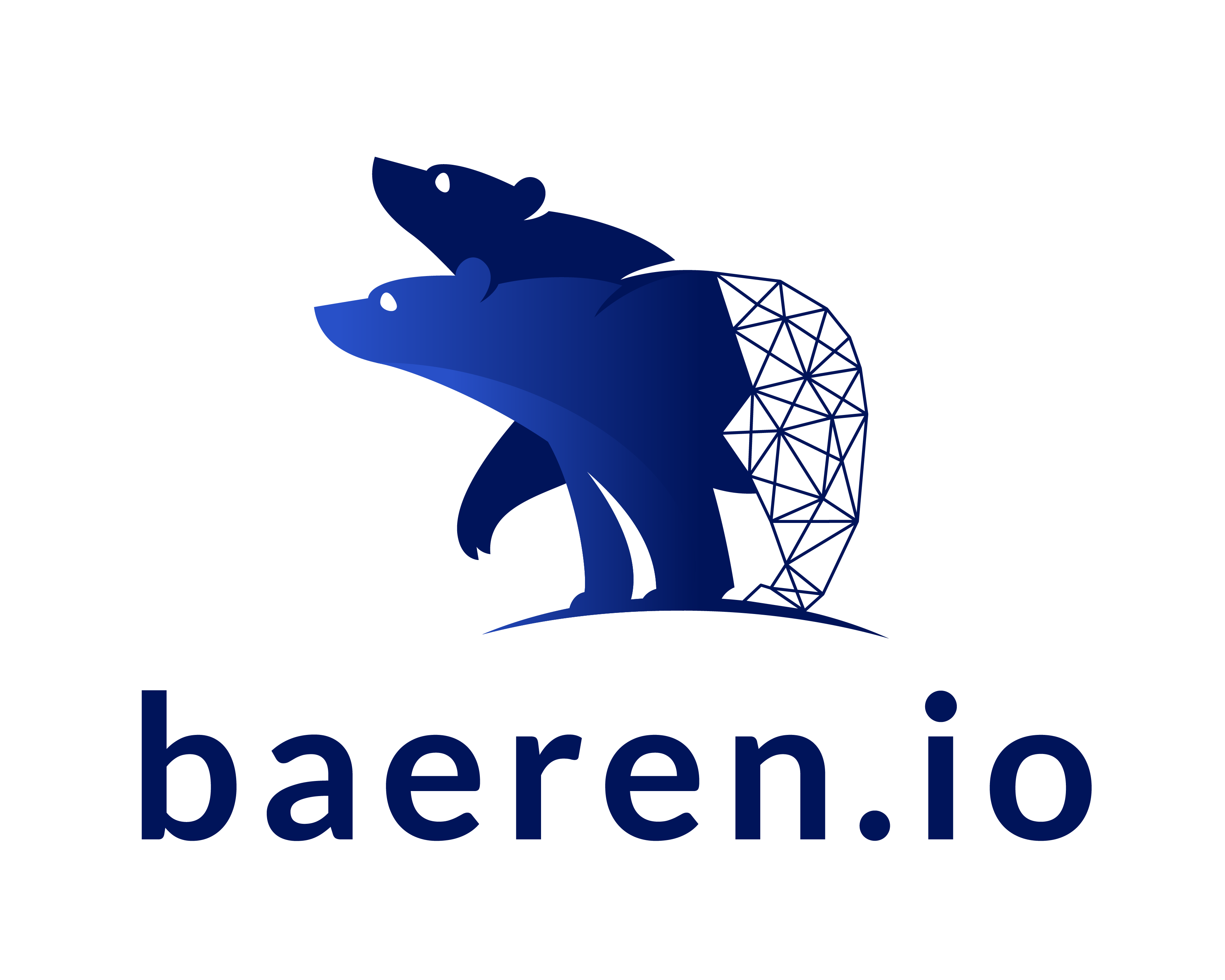 Company logo of baeren.io GmbH