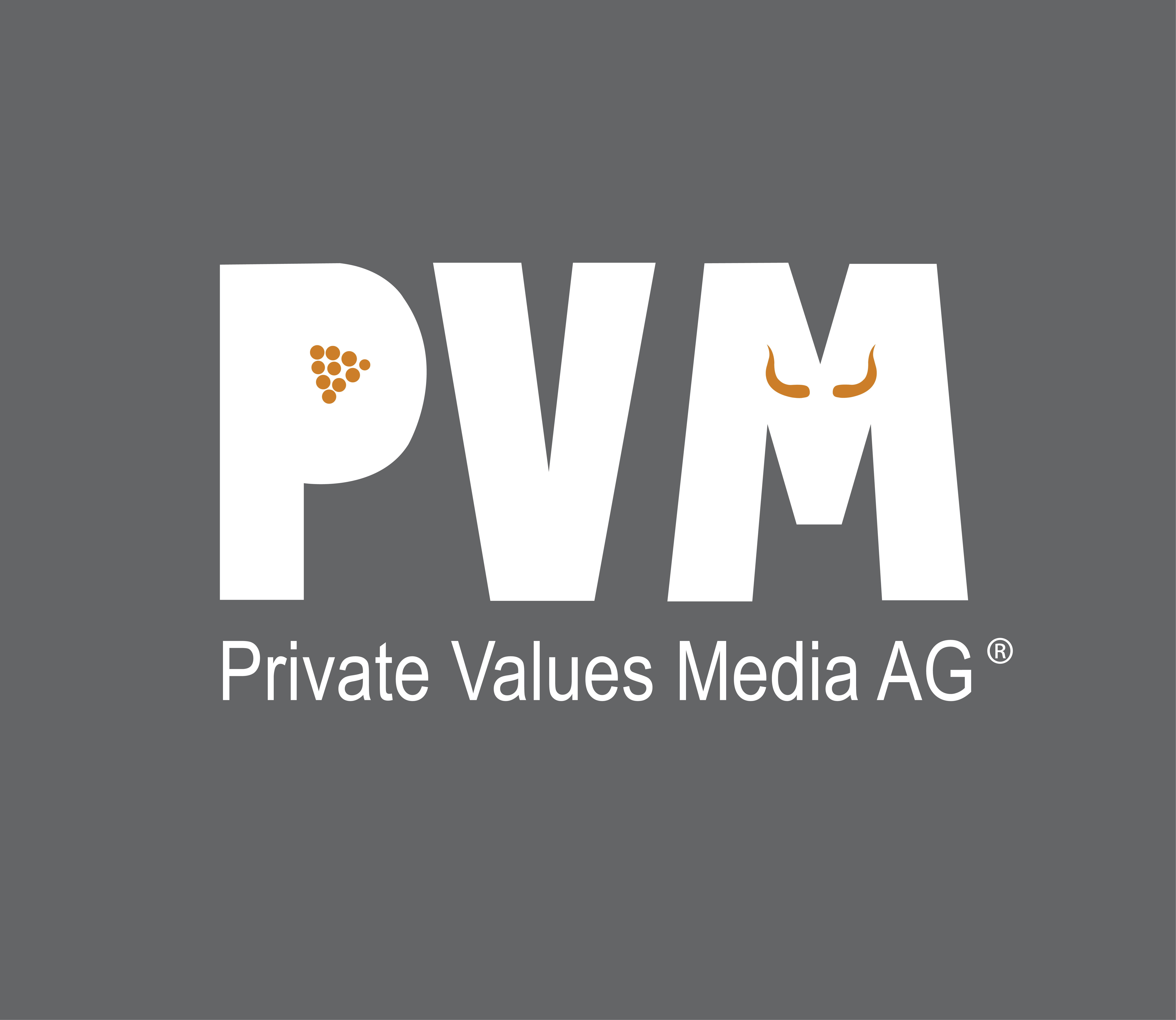 Unternehmenslogo von PVM Private Values Media AG