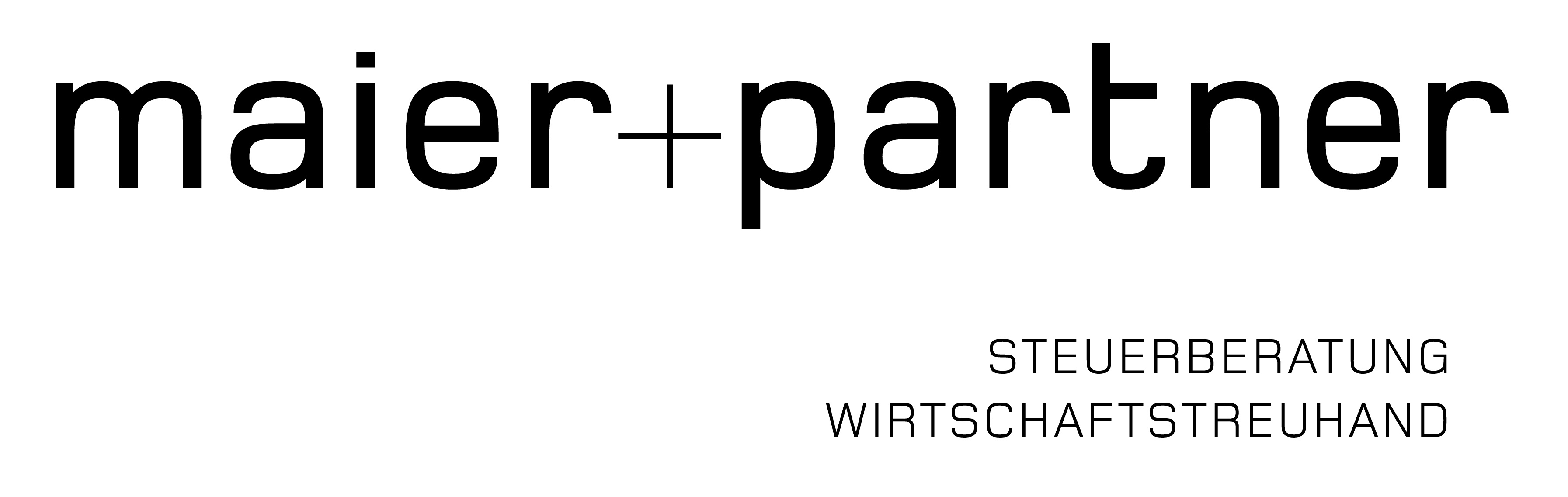 Unternehmensprofil Icon