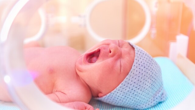 Neonatalogie