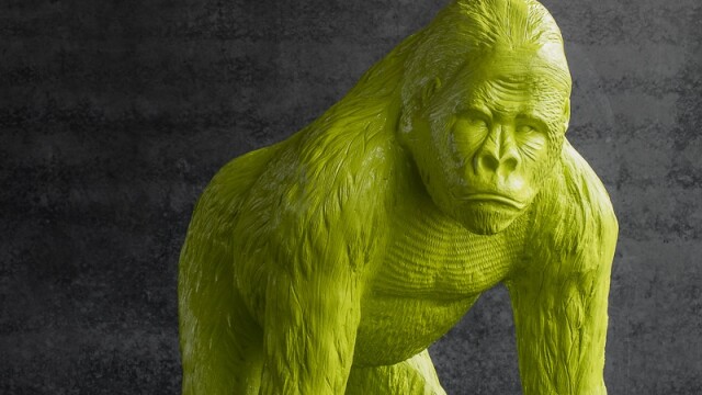 Gorilla George