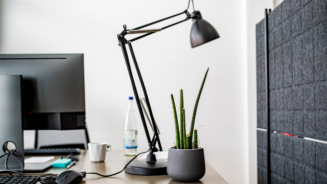 Bild des Unternehmens