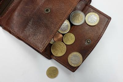 Karriereguide