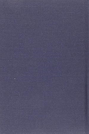 Concise Critical Comments on the New Testament