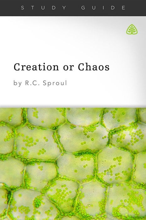 Creation or Chaos