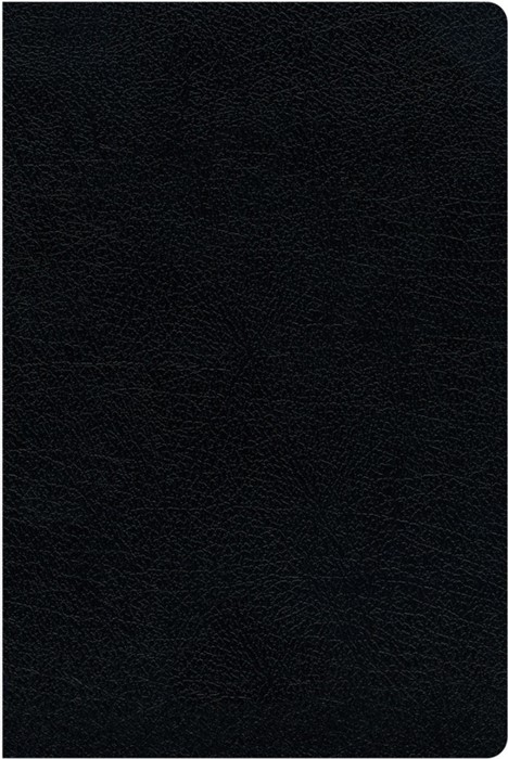 KJV Amplified Parallel Bible, Black, Large Print, Red Letter