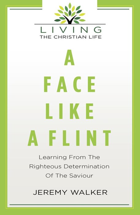 Face Like Flint, A