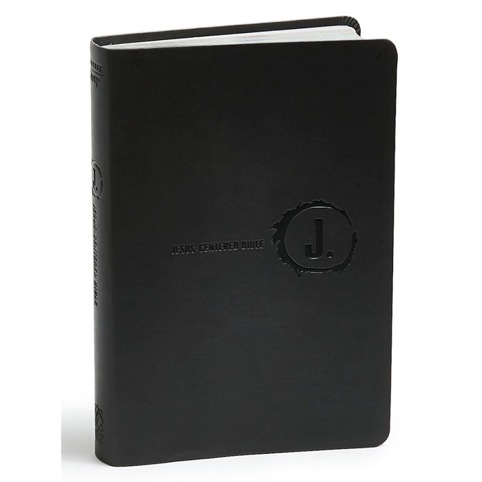 NLT Jesus Centered Bible, Charcoal