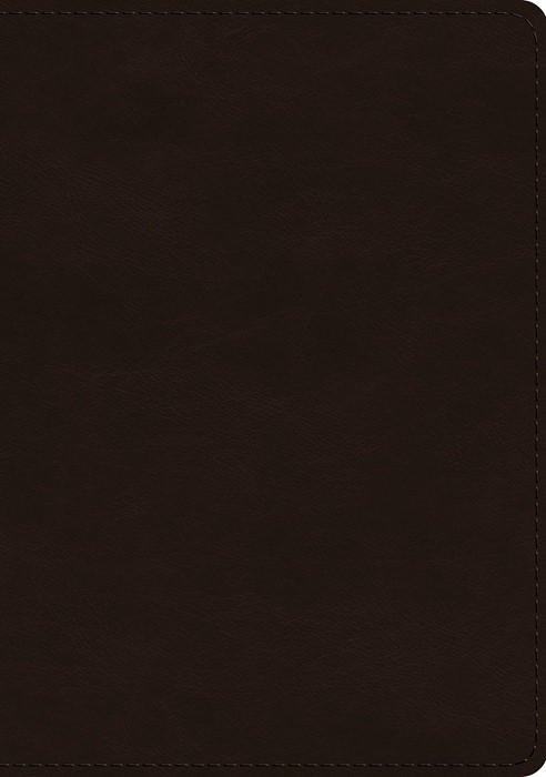 ESV Single Column Journaling Bible, Large Print, Brown