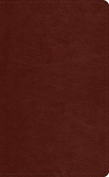 ESV Pocket Bible, Chestnut