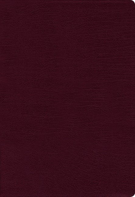 NASB Thinline Bible, Large Print, Burgundy, Red Letter Ed