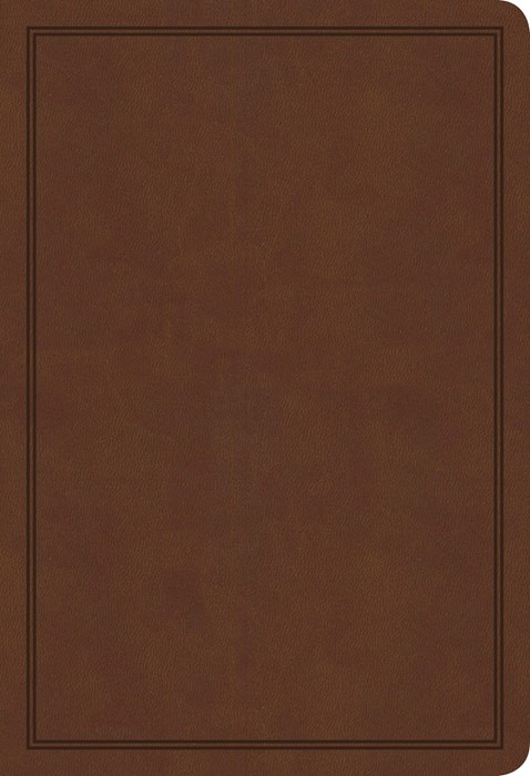KJV Deluxe Gift Bible, Brown LeatherTouch