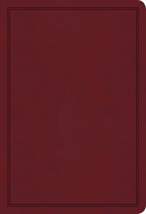 KJV Deluxe Gift Bible, Burgundy LeatherTouch