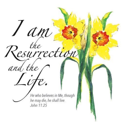 I Am the Resurrection Easter Cards (pack of 5)