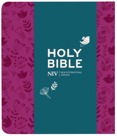 NIV Journalling Bible with Clasp, Plum