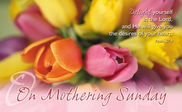 On Mothering Sunday - Postcard Tulips (Pack of 24)