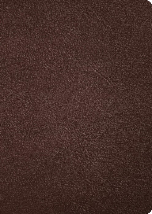 CSB Verse-by-Verse Reference Bible, Handcrafted Collection