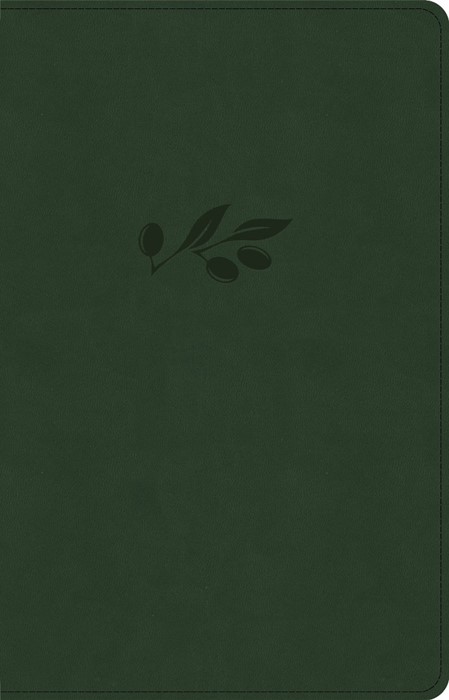 NASB Large Print Personal Size Reference Bible, Olive