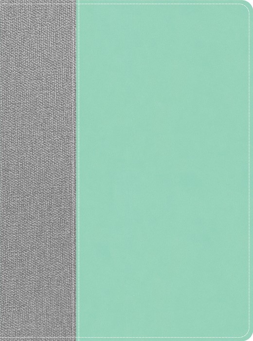 CSB Lifeway Women's Bible, Gray/Mint LeatherTouch