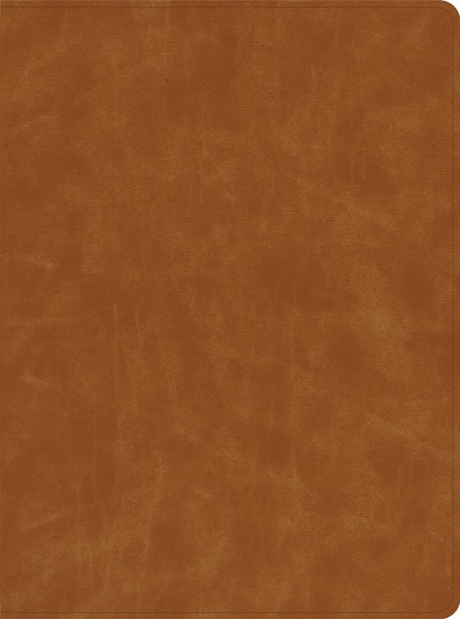 CSB Lifeway Women's Bible, Butterscotch Genuine Leather, Ind