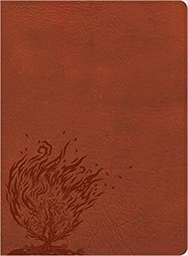 CSB Experiencing God Bible, Burnt Sienna LeatherTouch
