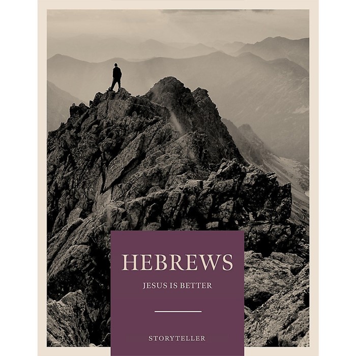Hebrews - Storyteller Bible Study Book
