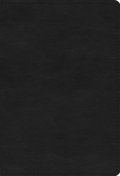 ESV Large Print Compact Bible (TruTone, Black)