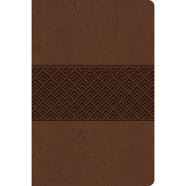 CSB Everyday Study Bible, Brown Burnished, Global