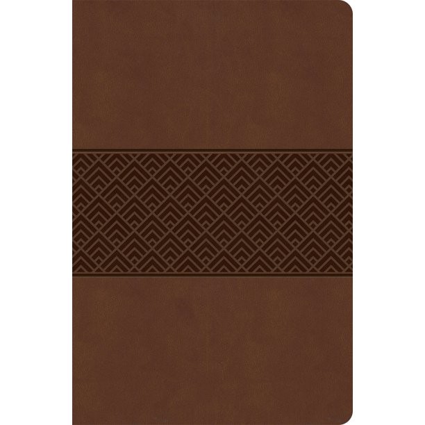 CSB Everyday Study Bible, Brown Burnished, Global