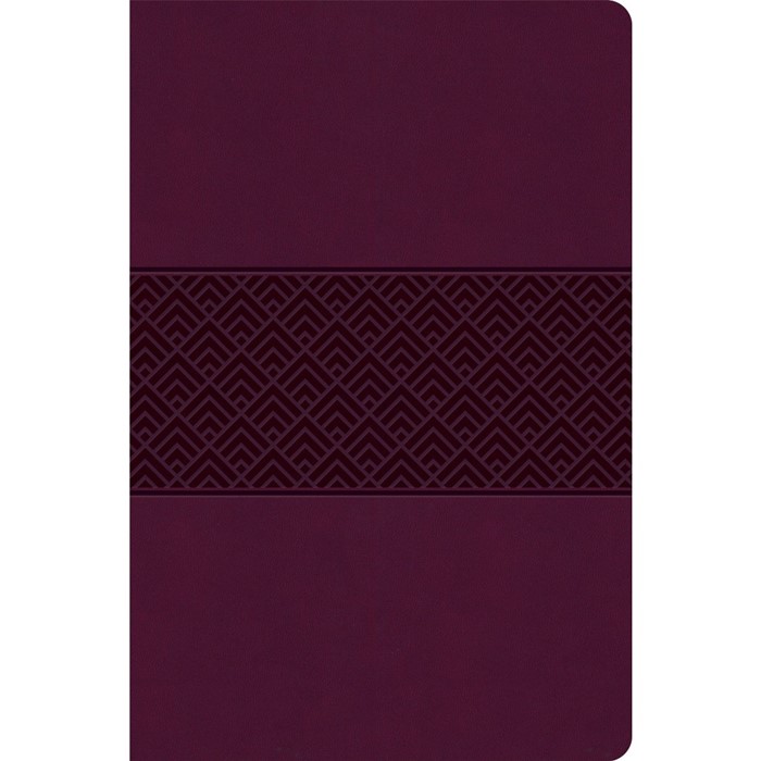 CSB Everyday Study Bible, Wine Burnish, Global