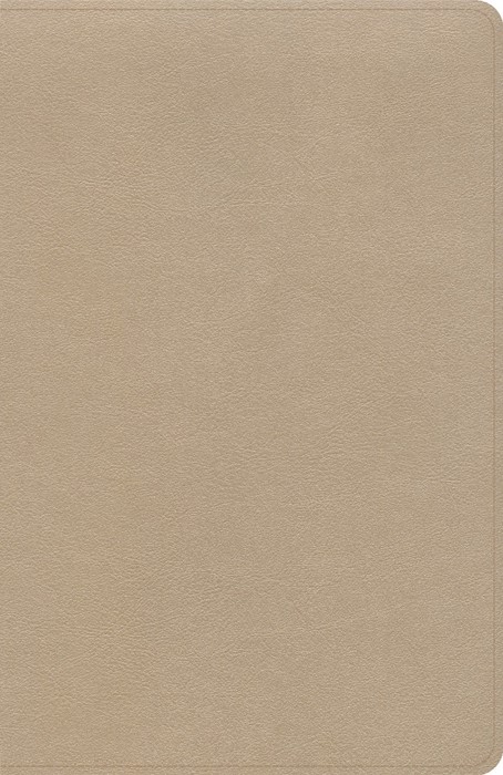 KJV Thinline Bible, Gold LeatherTouch