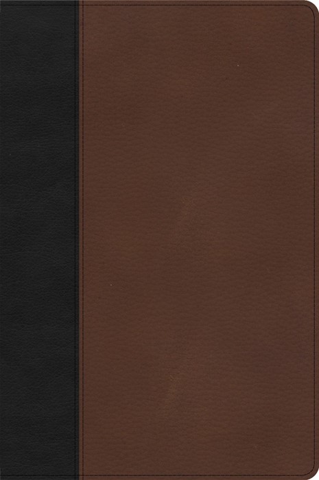 CSB Large Print Thinline Bible, Black/Brown LeatherTouch