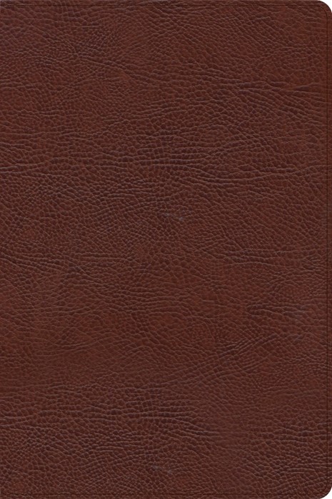 CSB Large Print Thinline Bible, Brown Bonded Leather