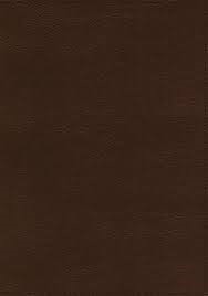 ESV Thompson Chain-Reference Bible, Brown, Indexed