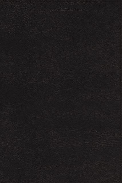 NRSVUE Holy Bible Leathersoft, Black, Comfort Print