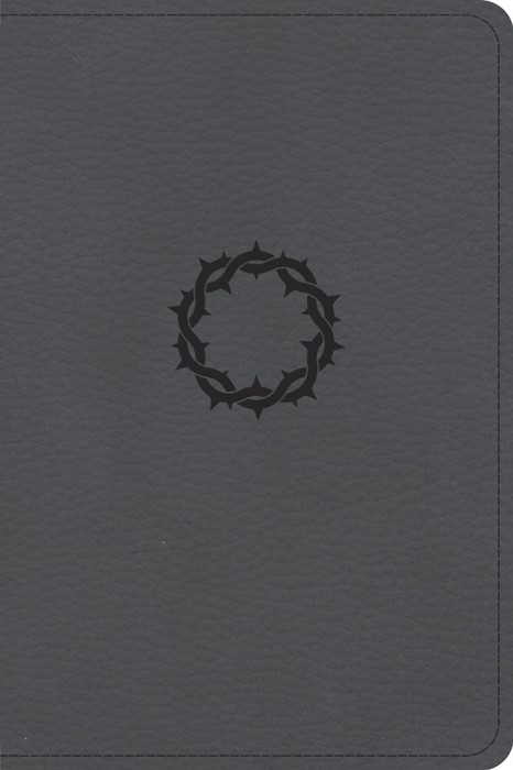 CSB Large Print Compact Reference Bible, Stone Leathertouch