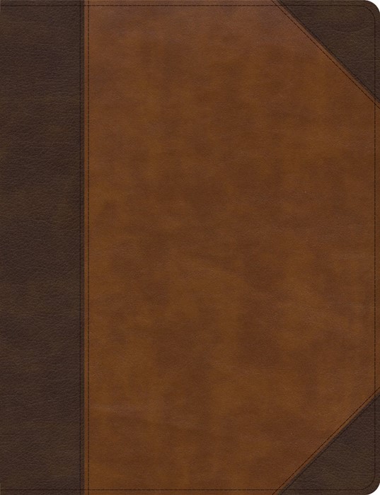 CSB Notetaking Bible, Large Print Edition, Brown/Tan