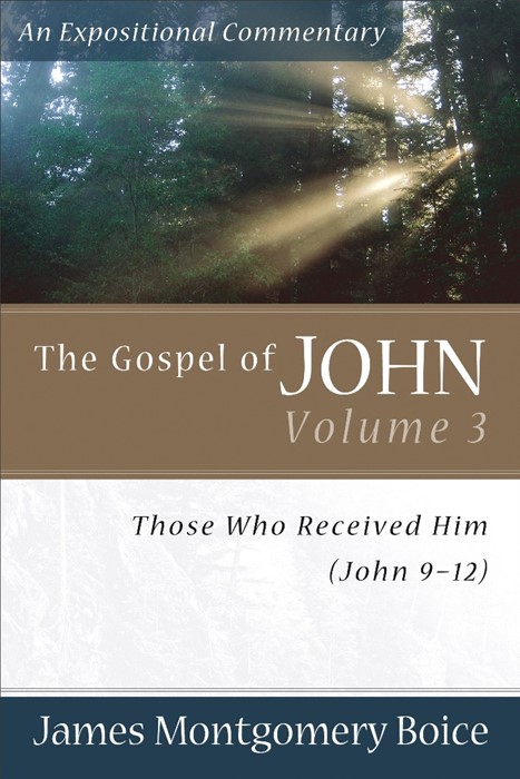 Gospel Of John, The, Volume 3