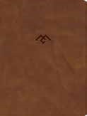 CSB Men Of Character Bible, Revised And Updated, Brown