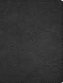 CSB Men Of Character Bible, Revised And Updated, Black Genui